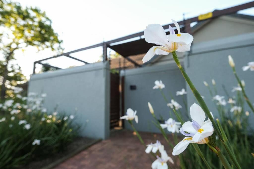 Home In Cape Town-The Homestead Στέλενμπος Εξωτερικό φωτογραφία